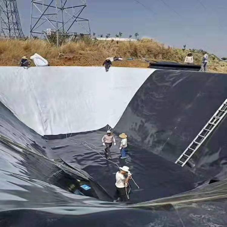 农业家用蓄水池蜜桃永久免费膜