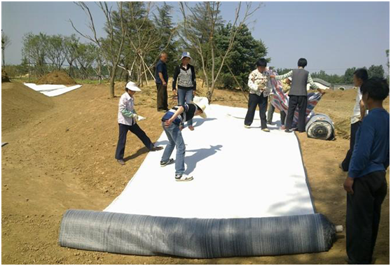 寒旱地区蜜桃APP下载软件颗粒分布