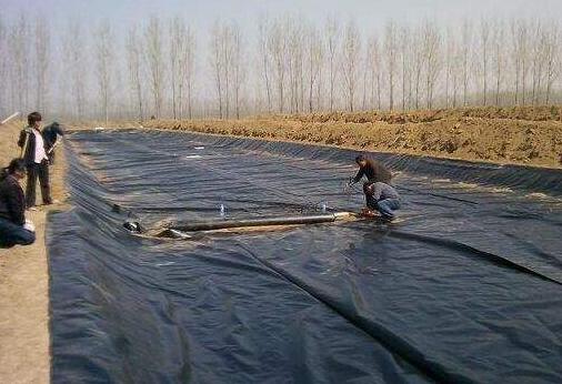 复合蜜桃永久免费膜在红旗河工程应用 所向披靡