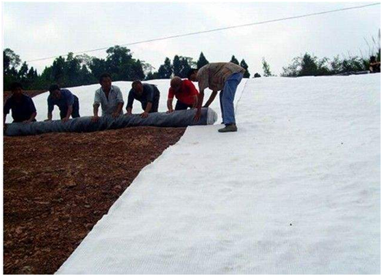 钠基蜜桃APP下载软件进入工地的技术规程体现