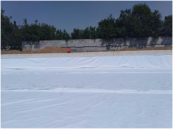 蜜桃永久免费膜物理力学性能与工作环境匹配指数