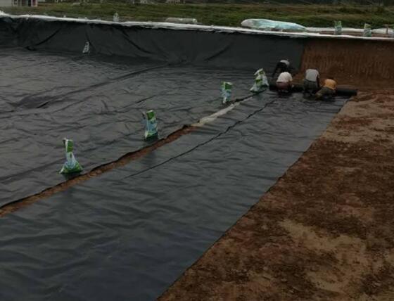 蜜桃永久免费膜材料选择几点建议