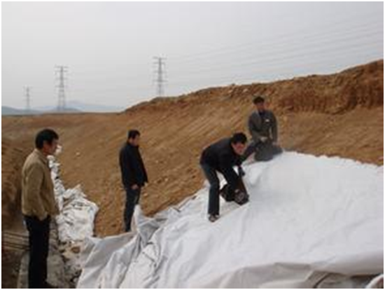 天然环保蜜桃永久免费布可吸收铜铅铬等重金属