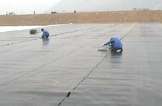 山东蜜桃精品成人影片蜜桃永久免费膜与下面垫层之间的平面滑动稳定性