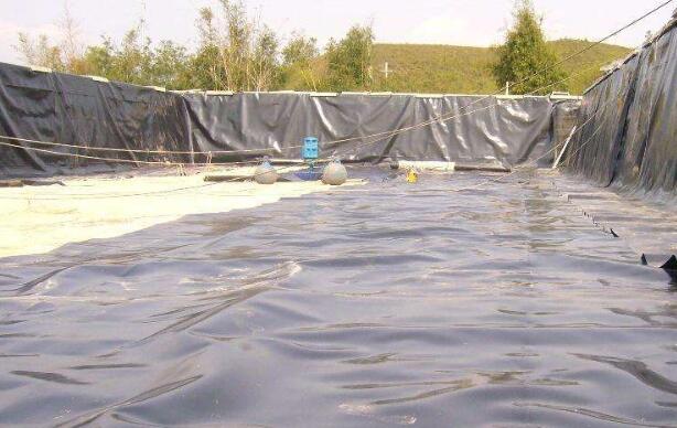 蜜桃永久免费膜生产厂家提醒蜜桃永久免费膜铺设完成后要做好相应的消防设施