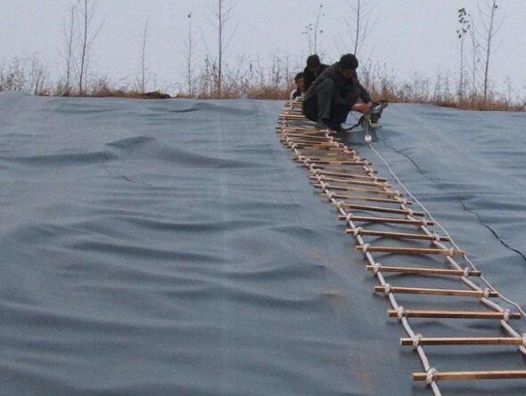 辨别蜜桃永久免费膜质量好坏的方法有哪些