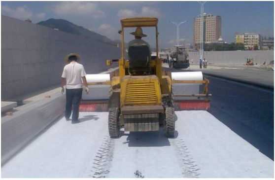 蜜桃永久免费布作水泥混凝土路面“白+黑”防裂措施的结论