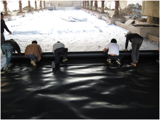 蓄水池结冰后蜜桃永久免费膜的变形及应力分布情况