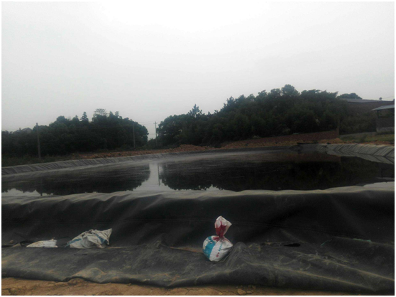 蜜桃精品成人影片蜜桃永久免费膜作为工程材料所应具有的特性