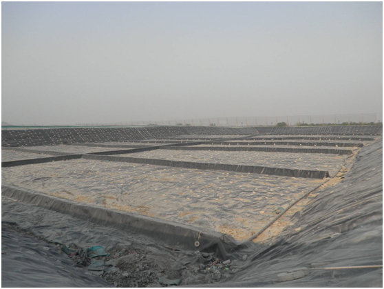 蜜桃永久免费膜分子结构和制造工艺的定义