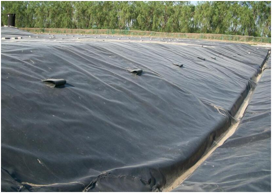 客户想了解的蜜桃永久免费膜施工整体体系全在这里