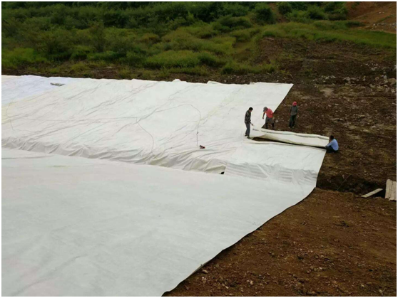 复合蜜桃永久免费膜以优控缺 工程达到预期效果