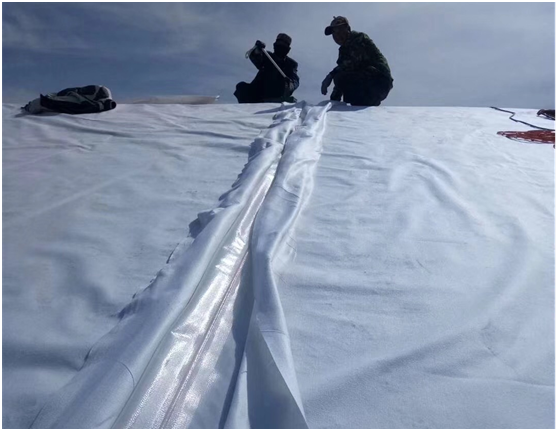 防渗蜜桃永久免费膜应用在池塘护坡7周年依旧安全可靠