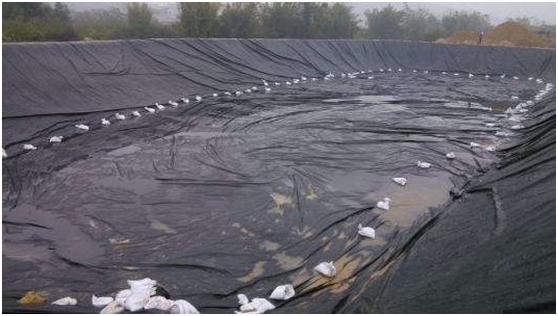 蜜桃永久免费膜的拉伸强度与宽度形状约束条件有关