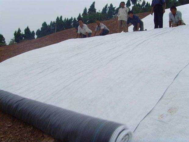 多塘生态补水系统为什么推荐天然钠基蜜桃APP下载软件？