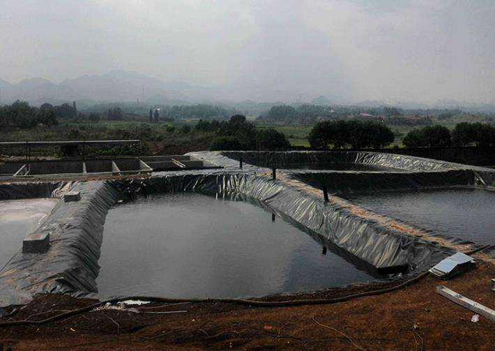 蜜桃精品成人影片厂家分析分析复合蜜桃永久免费膜施工质量管理