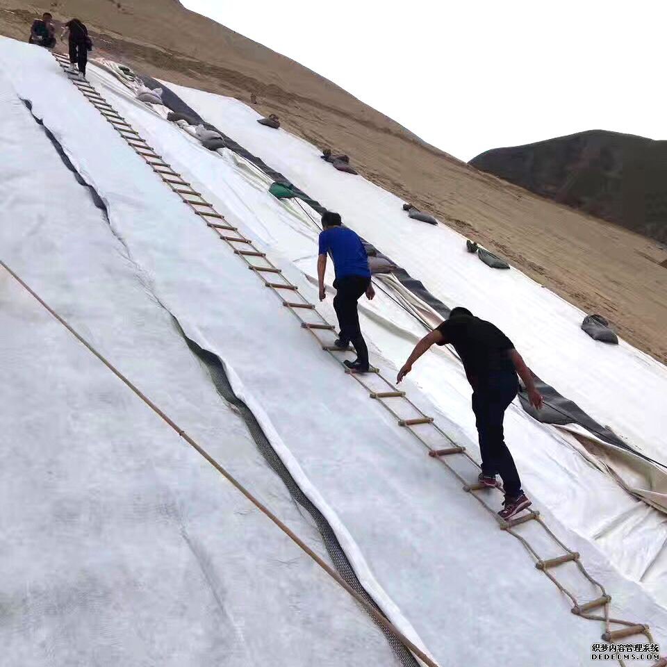 蜜桃APP下载软件等各种方案工程风险对比