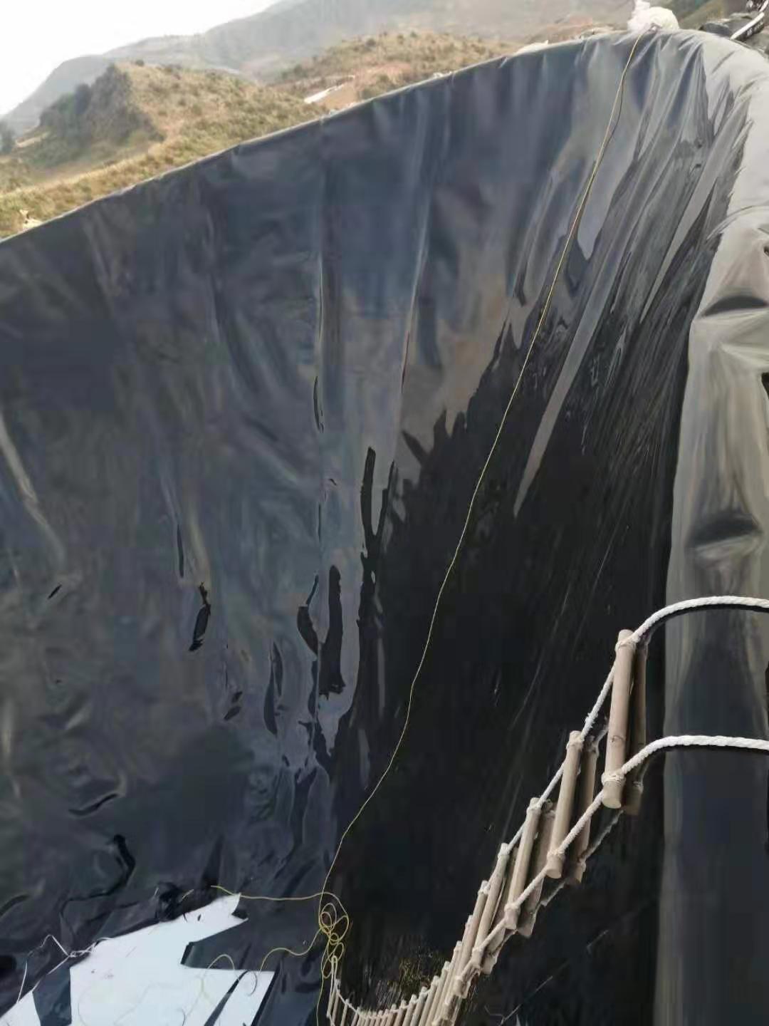 PE蜜桃永久免费膜现场快速技术的开发