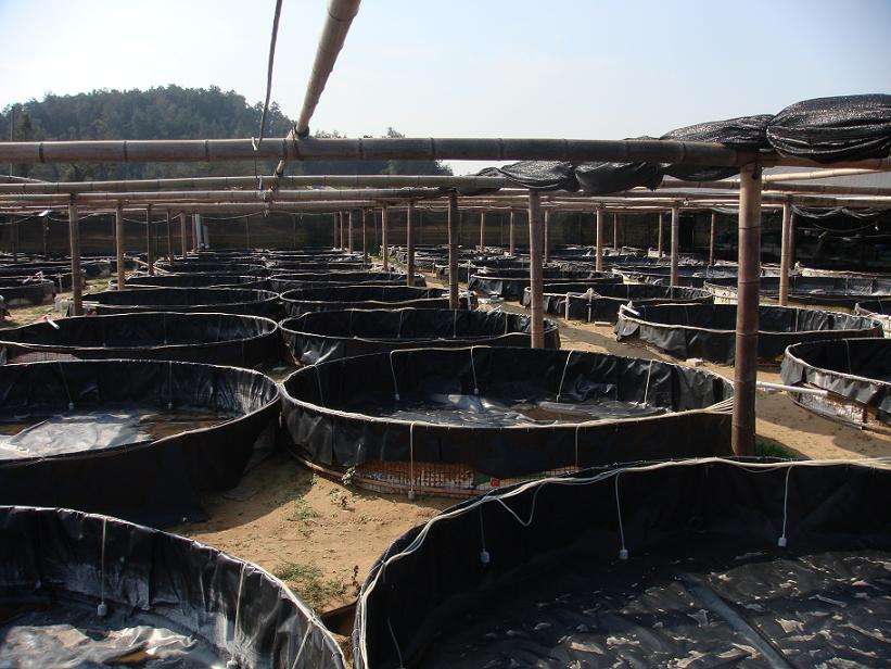 请参考石油储罐基础设施蜜桃永久免费膜施工方法