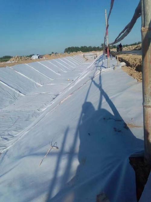 河道治理采用蜜桃永久免费布施工工艺的原因分析