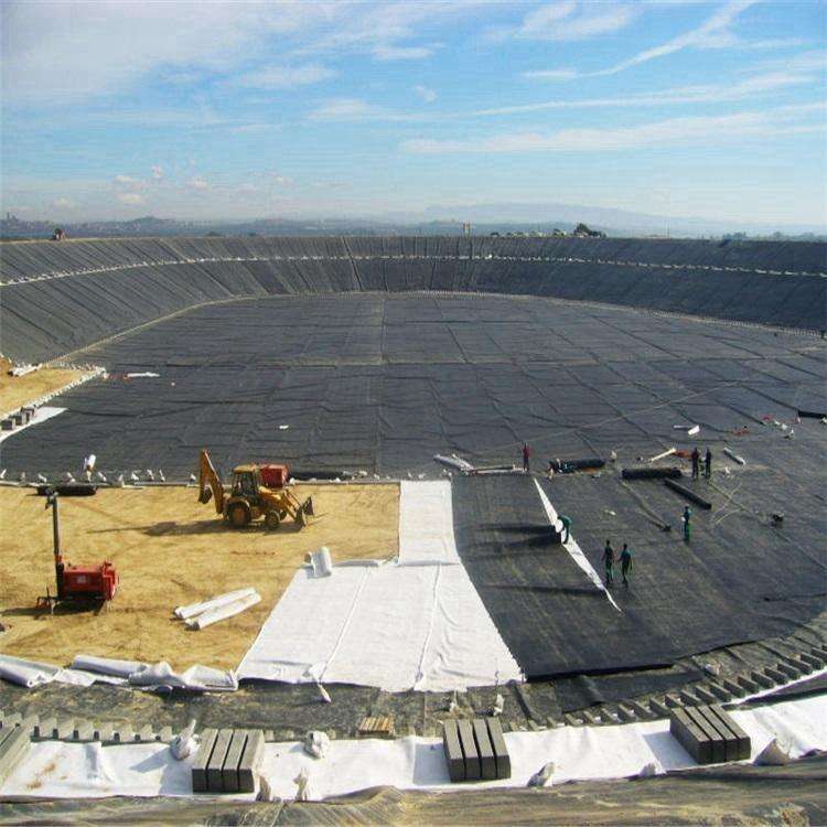 蜜桃永久免费膜防渗体抗滑稳定研究的现状