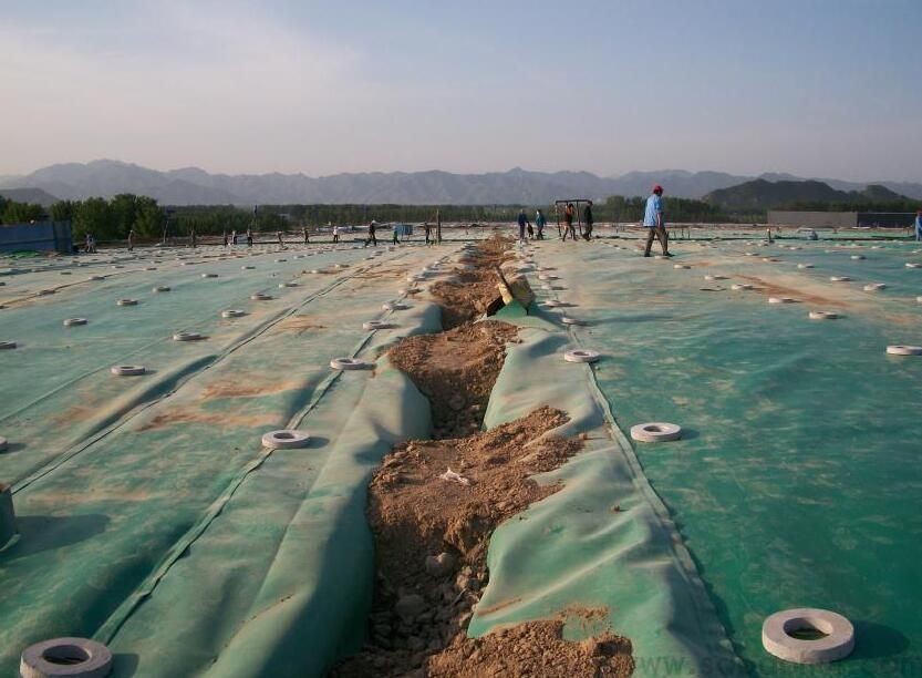 高密度聚乙烯蜜桃永久免费膜的成型工艺有两种类型  推广前景广阔