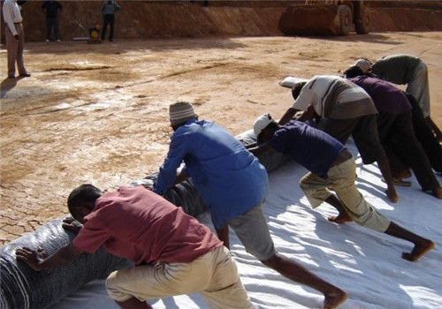 按照要求开挖截水槽同时在槽中埋设蜜桃永久免费膜
