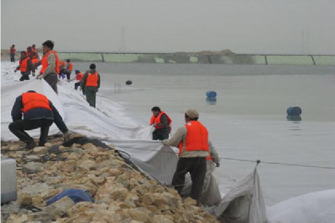 蜜桃永久免费布在单层围堰及其防渗层施工工艺