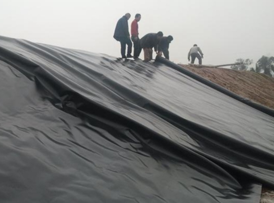 蜜桃永久免费膜在堤防工程、河湖治理工程等减渗治理中都得到了很好的应用