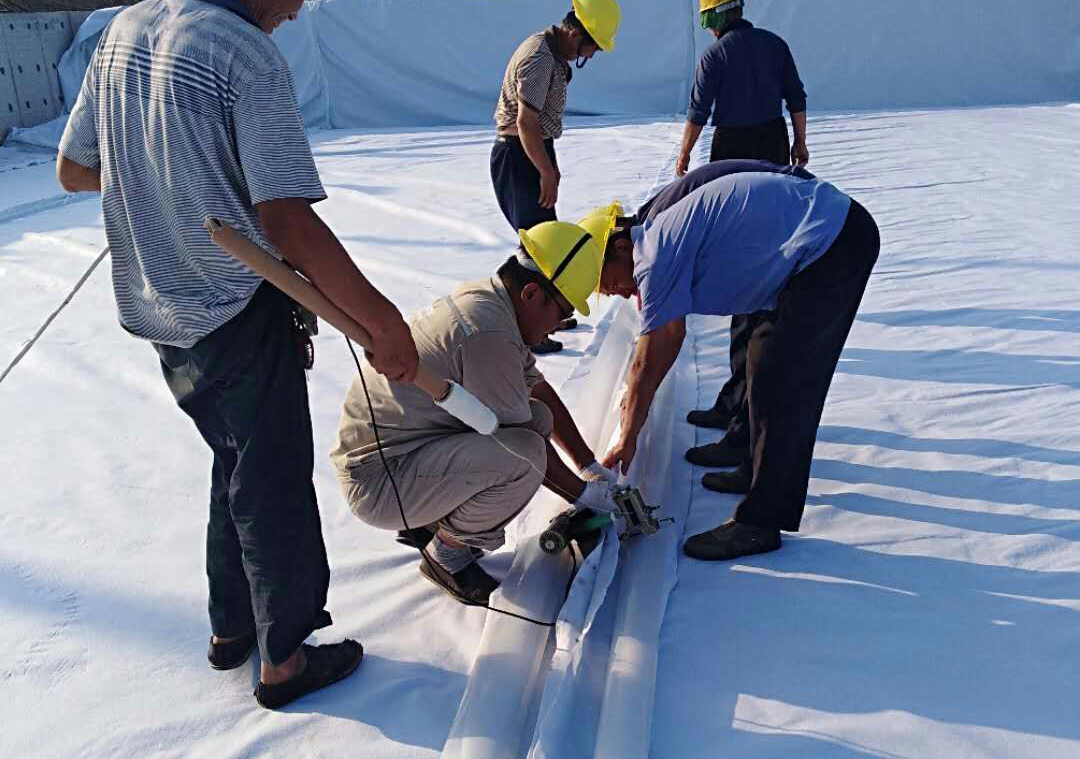 蜜桃永久免费合成材料的整体性能特点有哪些方面？