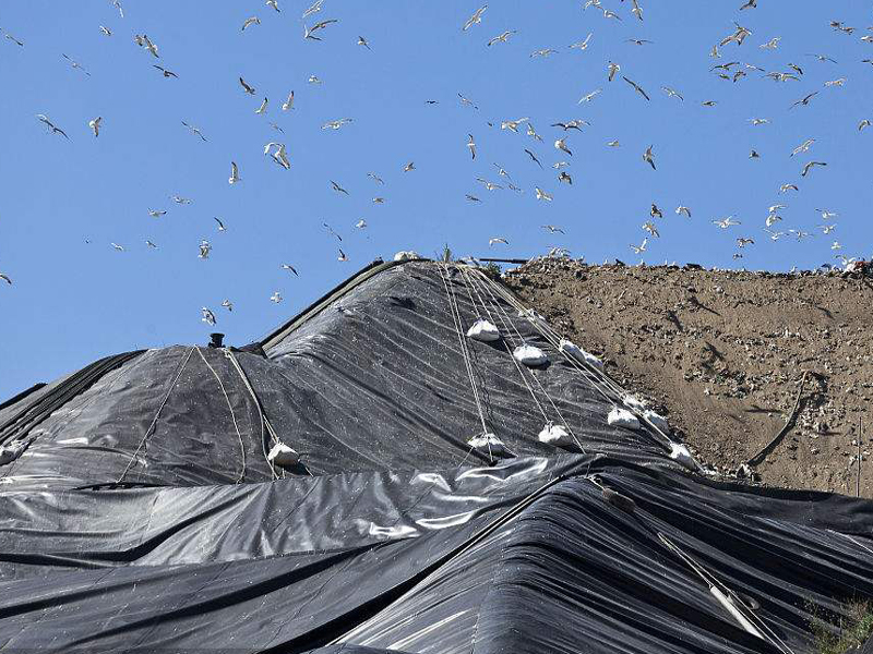 蜜桃永久免费织物（蜜桃永久免费布）能阻止隆起而产生的平衡镇压作用的效应