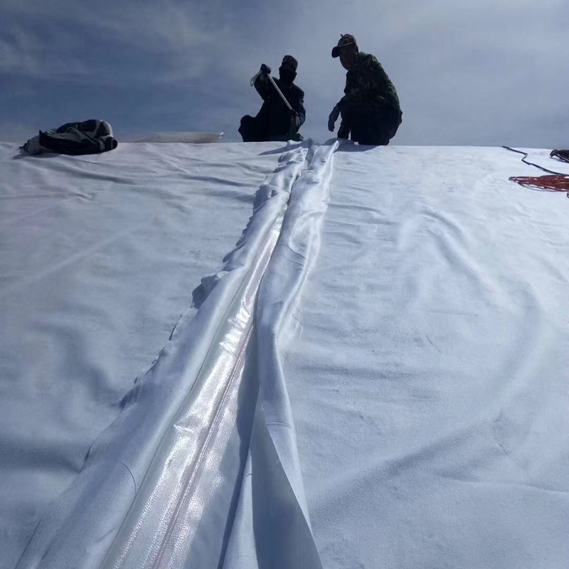 粉喷桩加蜜桃永久免费合成材料加固软土路基的构想