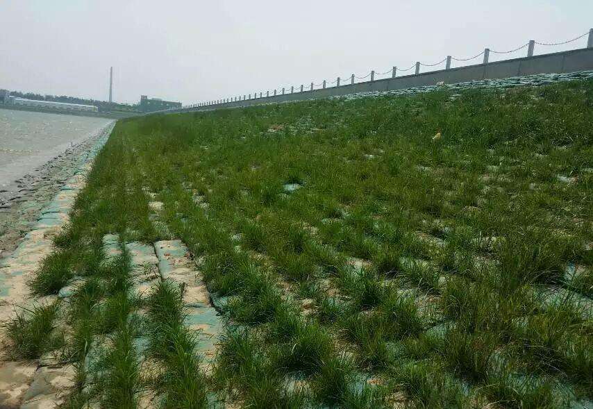 常用的海岛边坡修复技术有哪些？如何修复海岛边坡？