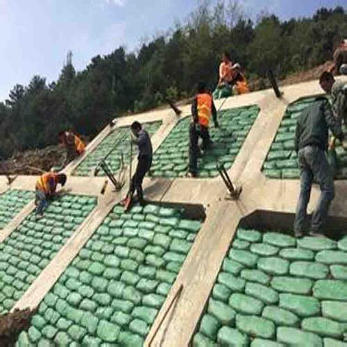 常用的海岛边坡修复技术有哪些？如何修复海岛边坡？